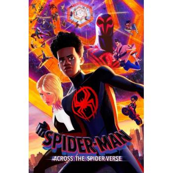 Spider-Man: Across the Spider-Verse (2023)