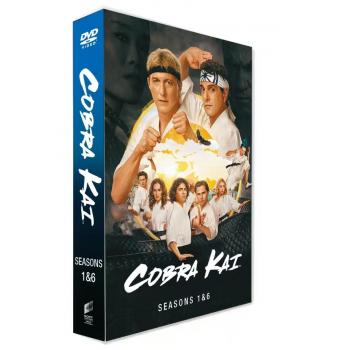 Cobra Kai seasons 1-6  14DVD